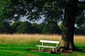 Bench in a Phoenix Park