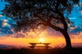 A bench placed beneath a tree, as the sun sets in the background, casting a warm glow on the scene, The silhouette of a picnic set Royalty Free Stock Photo