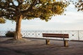 Bench and platanus tree on a sunset at Meersburg Seepromenade
