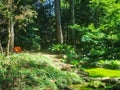 bench and pond at Mercer Arboretum