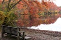 A bench is positon to view the autumn colored leaves at the side of a lake Royalty Free Stock Photo