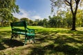 Bench in public park with shadow of green tree Royalty Free Stock Photo