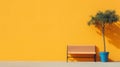 Abstract Minimalistic Color Photography: Unoccupied Orange Wall And Bench Under Tree