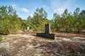 Bench on the sand in an abandoned forest resort Royalty Free Stock Photo