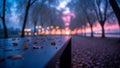 Autumnal Evening: Serene Park Bench with Fallen Leaves and Blurry Lights Royalty Free Stock Photo