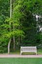 Bench seat under tall trees Royalty Free Stock Photo