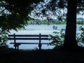 Bench in the Shade