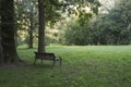 Bench in the shade under an oak tree.