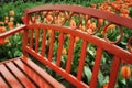 Bench sits amongst blooming tulips