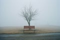 a bench sitting in front of a tree in the fog Royalty Free Stock Photo