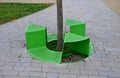 Bench sitting with a hole around a tree. green painted metal perforated plate. three places around the tree around like a pizza or Royalty Free Stock Photo