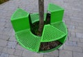 Bench sitting with a hole around a tree. green painted metal perforated plate. three places around the tree around like a pizza or