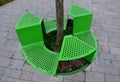 Bench sitting with a hole around a tree. green painted metal perforated plate. three places around the tree around like a pizza or Royalty Free Stock Photo