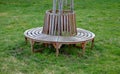 Bench sitting round with wood paneling gray metal plate three seats around a tree around a gravel threshing path in the park lawn