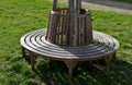 Bench sitting round with wood paneling gray metal plate three seats around a tree around a gravel threshing path in the park lawn