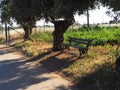 bench sitting in shade under tree lonely bench in the summer Royalty Free Stock Photo