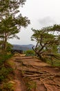 a bench sitting on top of a dirt hill next to trees and a forest filled with trees and bushes