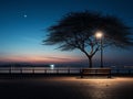 a bench sitting under a tree in the middle of the night Royalty Free Stock Photo