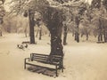 Bench in the snow under a tree. Snowfall. Trees in the snow. Mountain ski resort Bakuriani