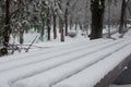 bench with snow in the winter Royalty Free Stock Photo