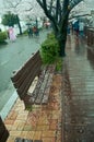 Bench during spring season, Jinhae, SouthKorea