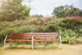 Bench standing in the park. Place to relax and have rest. Grass on background