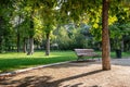 Bench in the summer park with old trees and footpath