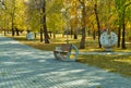 A bench in a sun-drenched autumn park