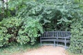 Bench surrounded by greenery