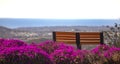 Bench surrounded by purple flowers with no one sitting on it overlooking the ocean