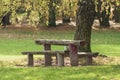 Bench and table made of tree trunk and built under a mature tree in a meadow Royalty Free Stock Photo
