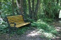 Bench, Thicket, undergrowth, with wood in a mystic wood