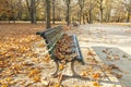 Bench in Tiergarten in Berlin