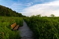 Bench on the trail