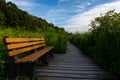 Bench on the trail