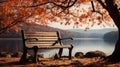 The bench is on a tree with fallen leaves. An empty park bench under an orange tree in the fall Royalty Free Stock Photo