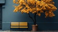 The bench is on a tree with fallen leaves. An empty park bench under an orange tree in the fall Royalty Free Stock Photo