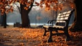 The bench is on a tree with fallen leaves. An empty park bench under an orange tree in the fall Royalty Free Stock Photo