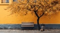 The bench is on a tree with fallen leaves. An empty park bench under an orange tree in the fall Royalty Free Stock Photo