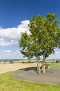 Bench And Tree, Germany