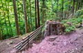 Bench and tree stump in the Vosges Mountains in France