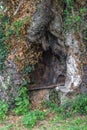 Seat for tired travelers in the trunk of an old tree