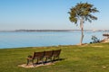 Bench and Trees Facing San Diego Bay Royalty Free Stock Photo