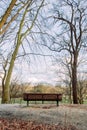 Bench between trees in a park with blue sky covered with clouds Royalty Free Stock Photo