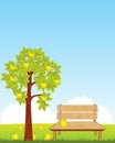 Bench under aple tree Royalty Free Stock Photo