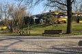 Bench under a bare tree in a park on a sunny day Royalty Free Stock Photo