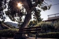 Bench under a big tree Royalty Free Stock Photo