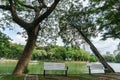 Bench under green trees in the park, Bangkok Thailand Royalty Free Stock Photo