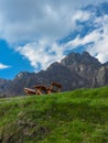 Bench under the mountain Royalty Free Stock Photo