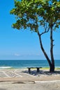 Bench under the shade of the tree on the boardwalk by the sea Royalty Free Stock Photo